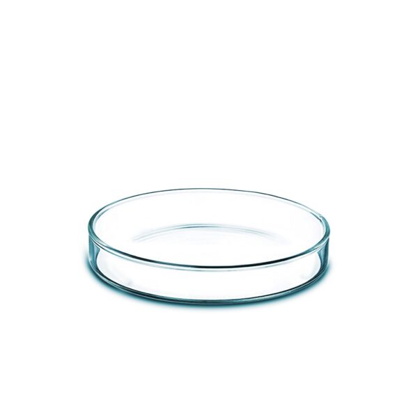 Petri Dish